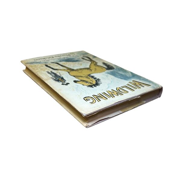 Wildwing Phoebe Erickson 1960 Weekly Reader Children’s Book Club HC w/ DJ - Picture 4 of 8